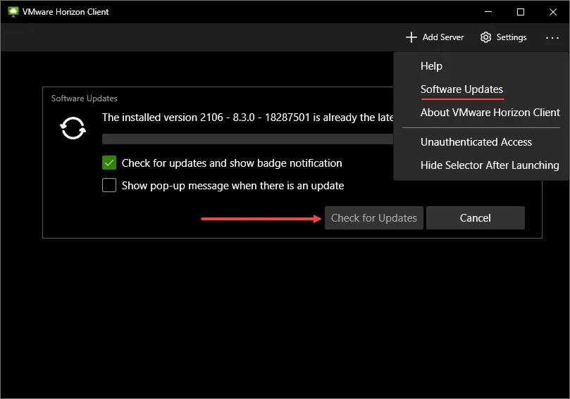 VMware Horizon Client